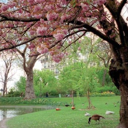 Cocon Au Coeur Des Batignolles Daire Paris Dış mekan fotoğraf