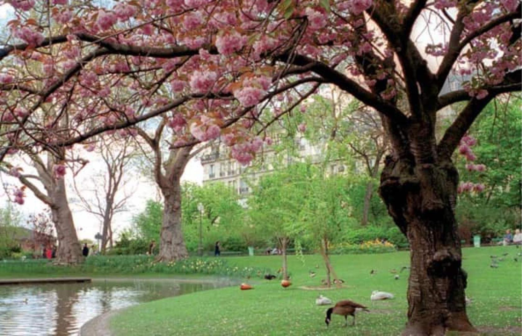 Cocon Au Coeur Des Batignolles Daire Paris Dış mekan fotoğraf